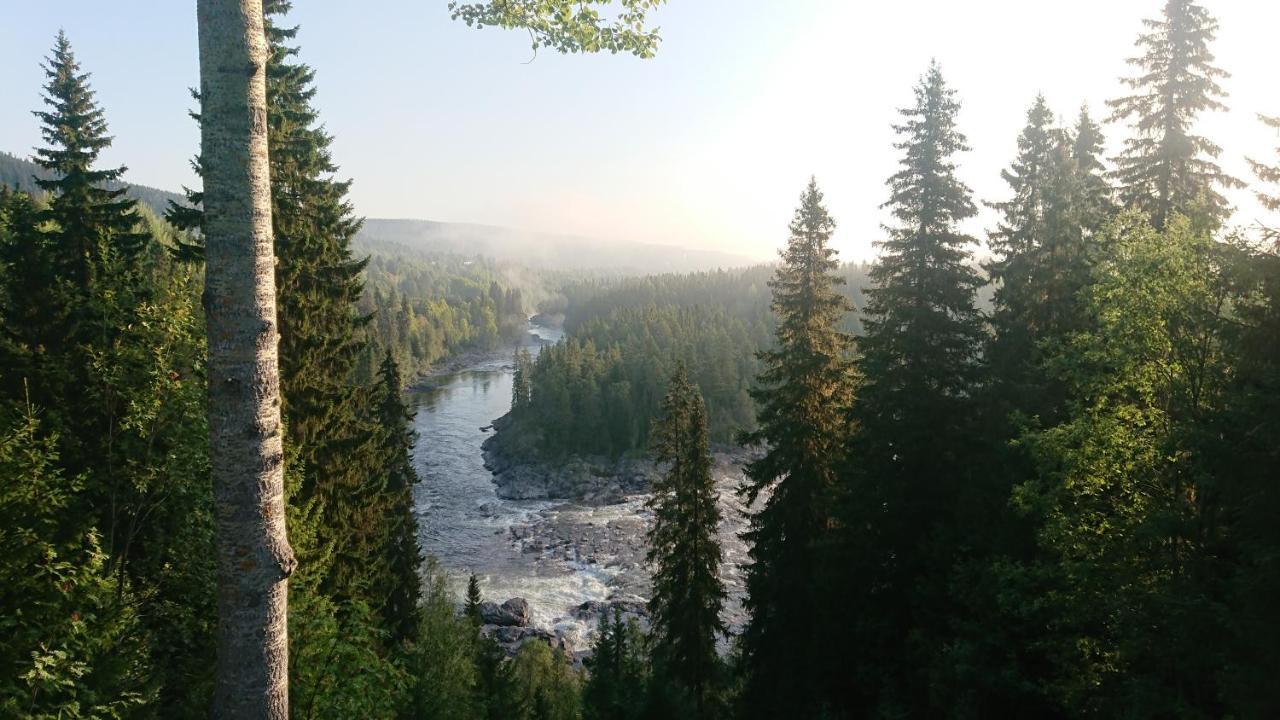 Hotel Ristafallets Camping à Nyland  Extérieur photo